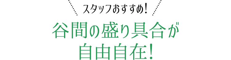 スタッフおすすめ！谷間の盛り具合が自由自在！