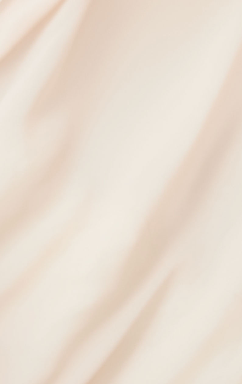 パテッドヌーブラ ファンシー