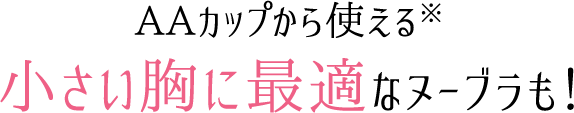Aカップから使える小さい胸に最適なヌーブラも！