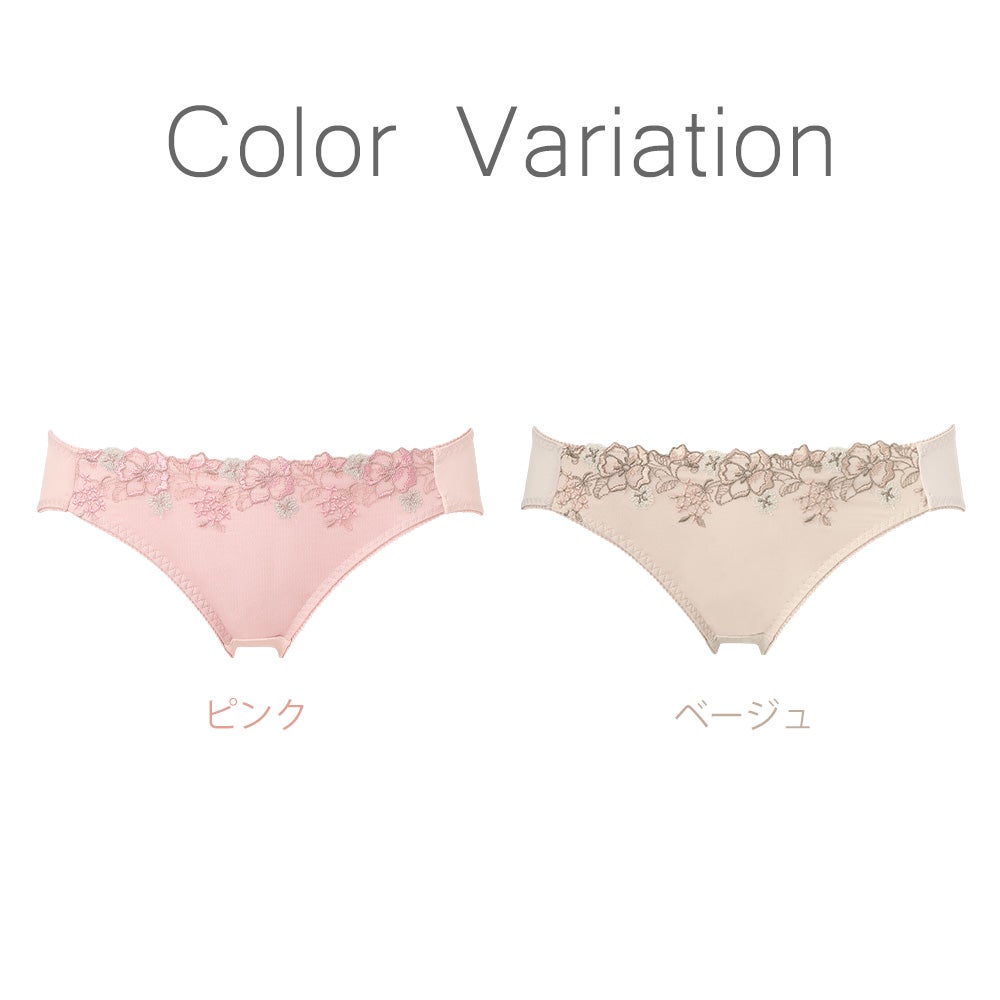 カラーバリエーション