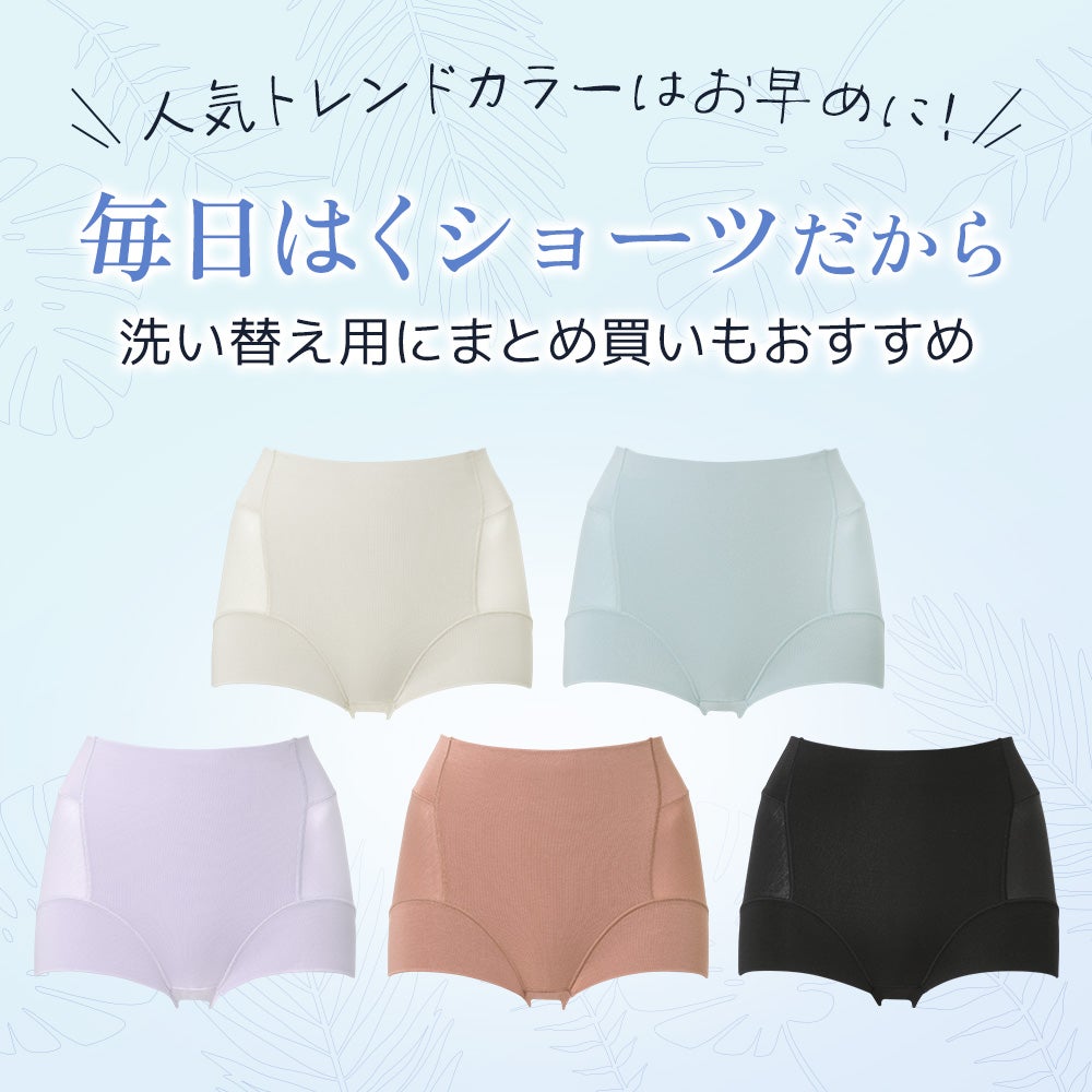カラーバリエーション